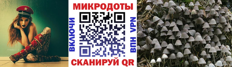 Галлюциногенные грибы ЛСД  Купить закладки  Вихоревка 