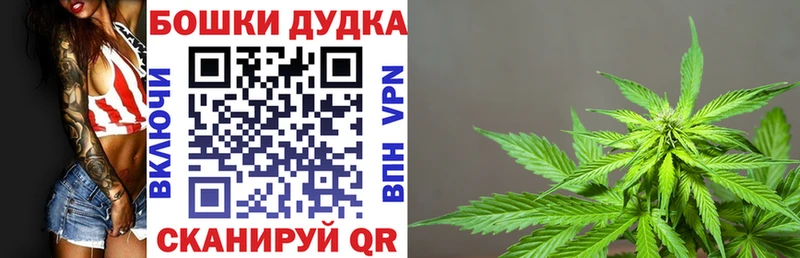 Купить закладки  Вихоревка  Конопля ГИДРОПОН 